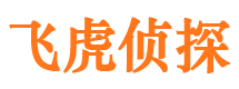 连云侦探公司